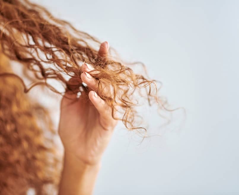 Comment prévenir la chute de cheveux ? | Maison Albanéa | Aubagne